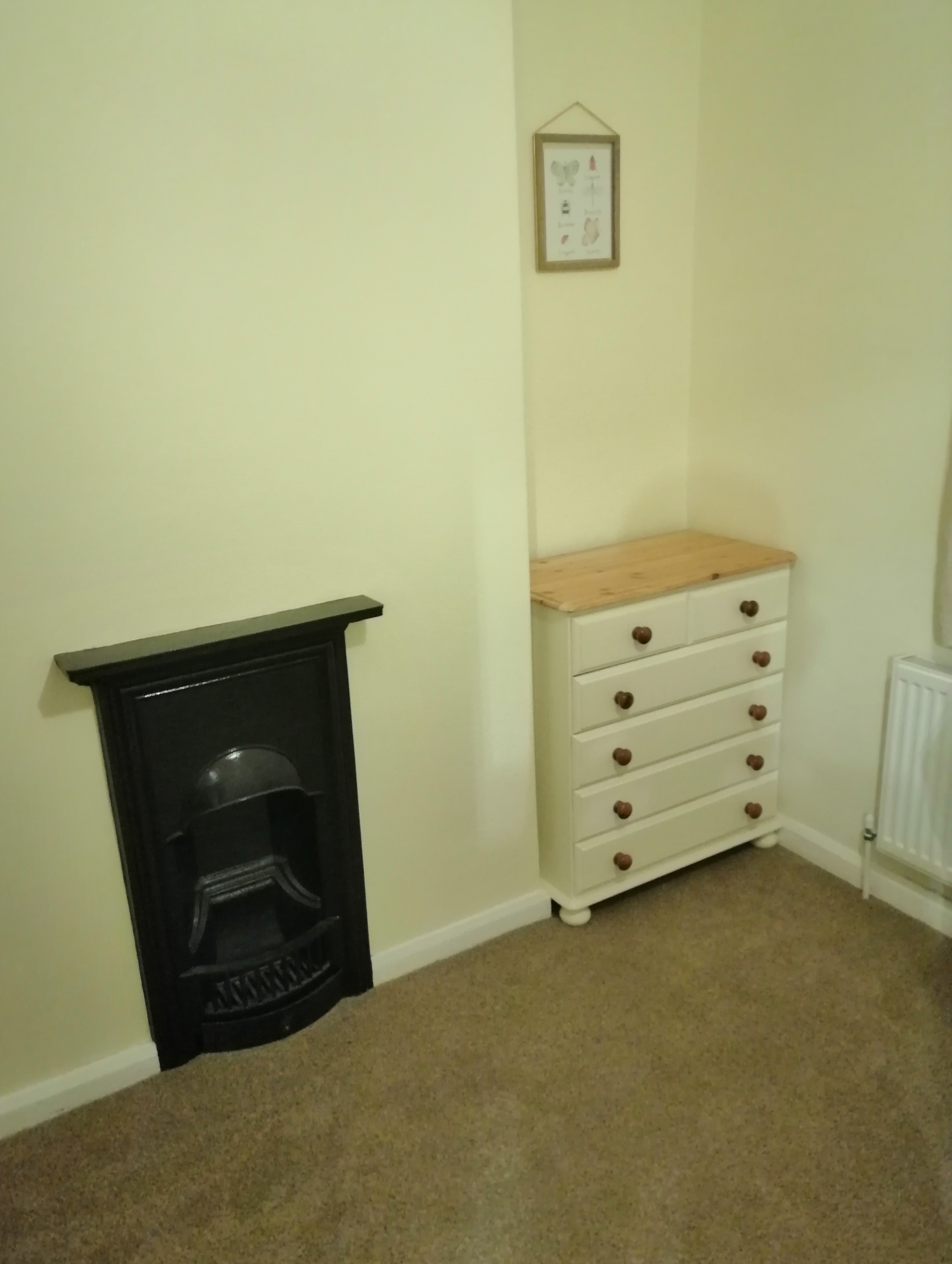 Pale green room with a black fireplace, white chest of drawers and radiator